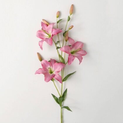 Lillies - Pink