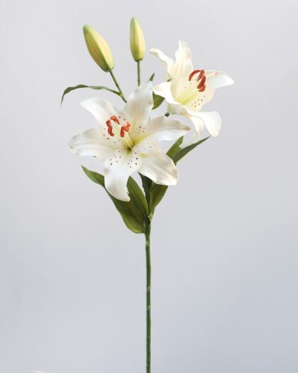 Lillies - White